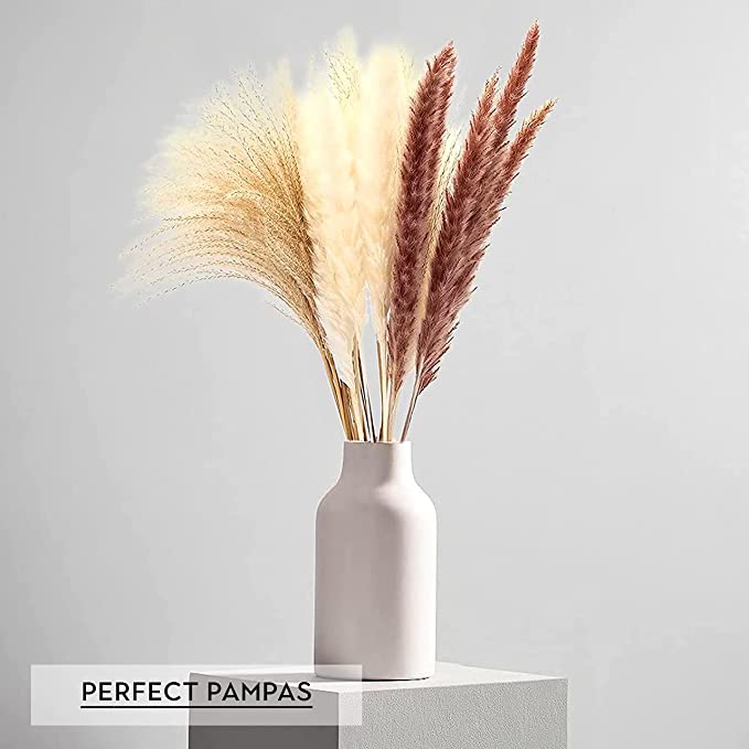 New Luxury Pampas Grass Decor | Natural Dried Pampas, Boho Home Decor