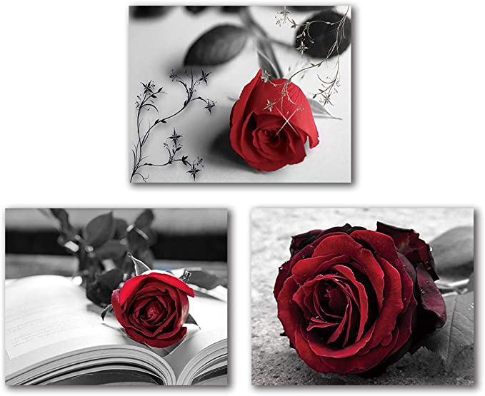 New 3PCS 8" x 10" Vintage Painting Black & White Red Rose Wall Art Paintings