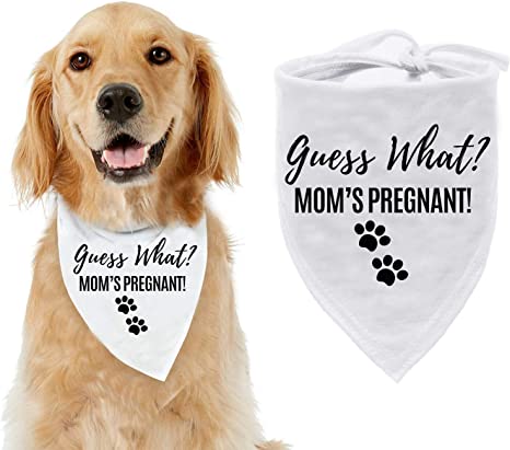 New Washable Pet Accessories | Pregnancy Reveal Scarf | Pregnancy Announcement Dog Bandana