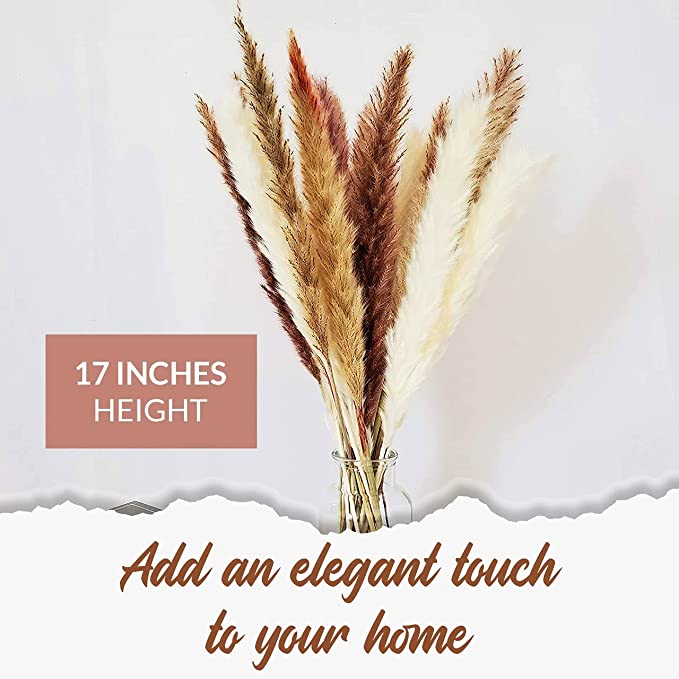 New Luxury Pampas Grass Decor | Natural Dried Pampas, Boho Home Decor