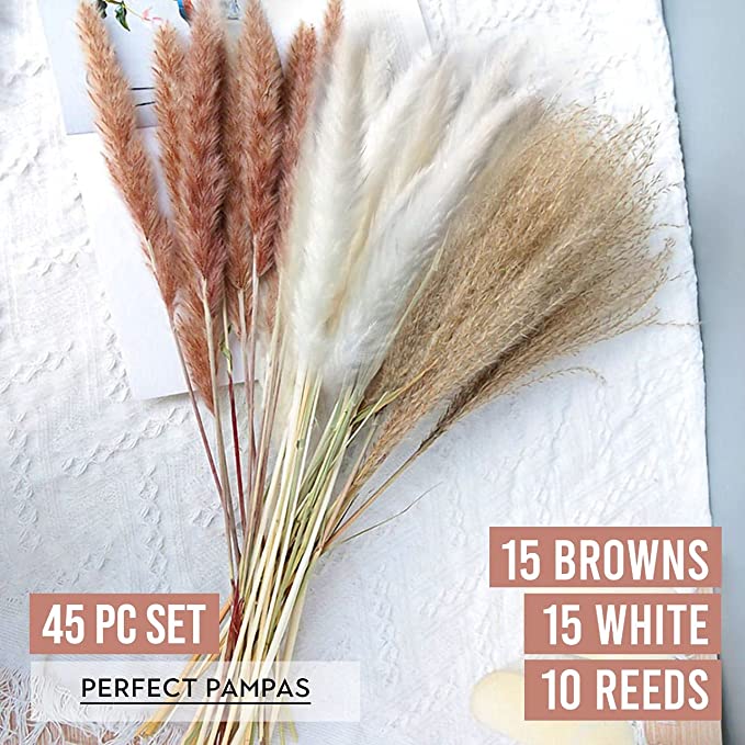 New Luxury Pampas Grass Decor | Natural Dried Pampas, Boho Home Decor