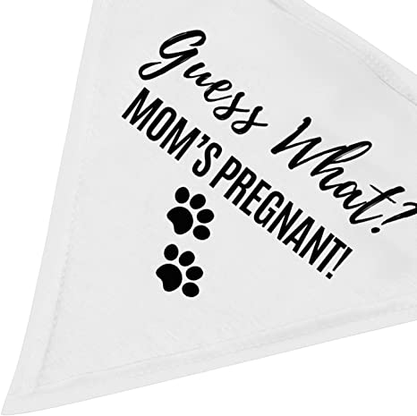 New Washable Pet Accessories | Pregnancy Reveal Scarf | Pregnancy Announcement Dog Bandana