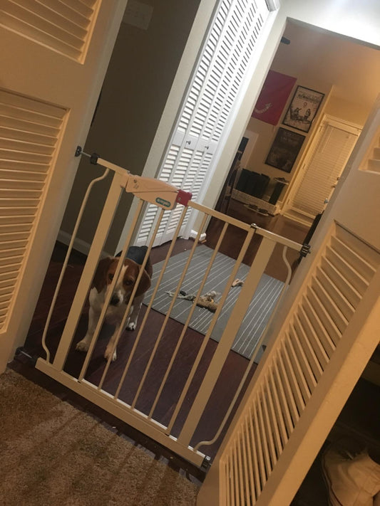 Heavy Duty Extra Wide Walk Thru Baby Gate | Extension Kit | Pressure Mount Kit