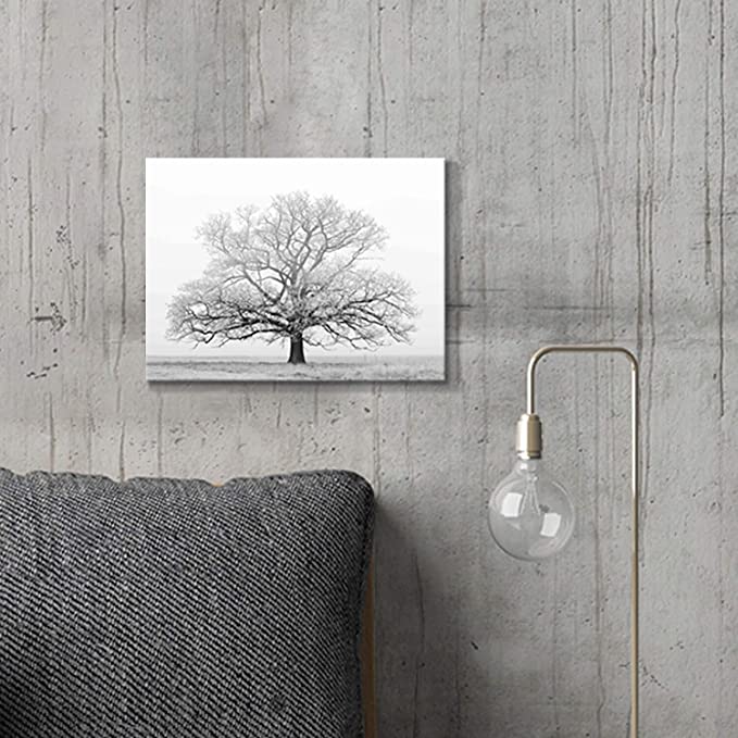 New 16" x 12" Winter Tree Canvas Print Artwork | Landscape Print Wall Art