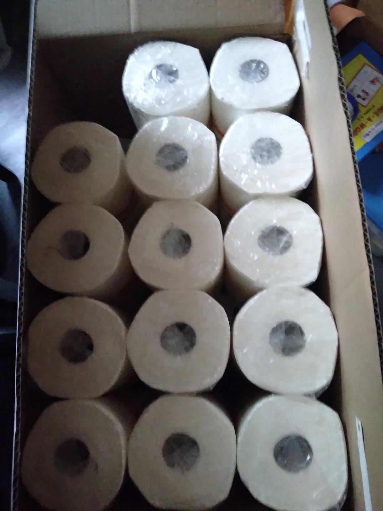 New 12 Rolls Kitchen Paper Towels