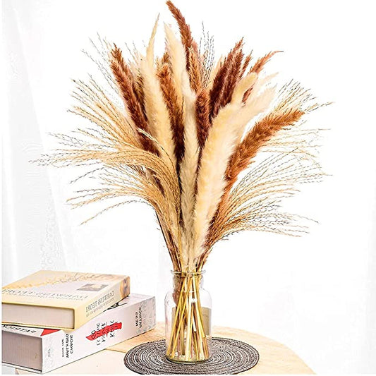 New Luxury Pampas Grass Decor | Natural Dried Pampas, Boho Home Decor