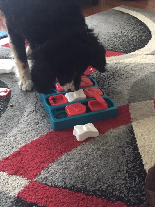 New Dog Treat Puzzle