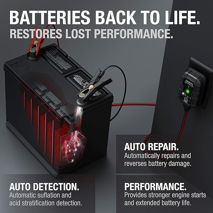 Heavy Duty 1-Amp Fully-Automatic Smart Charger, 6V and 12V Portable Battery Charger