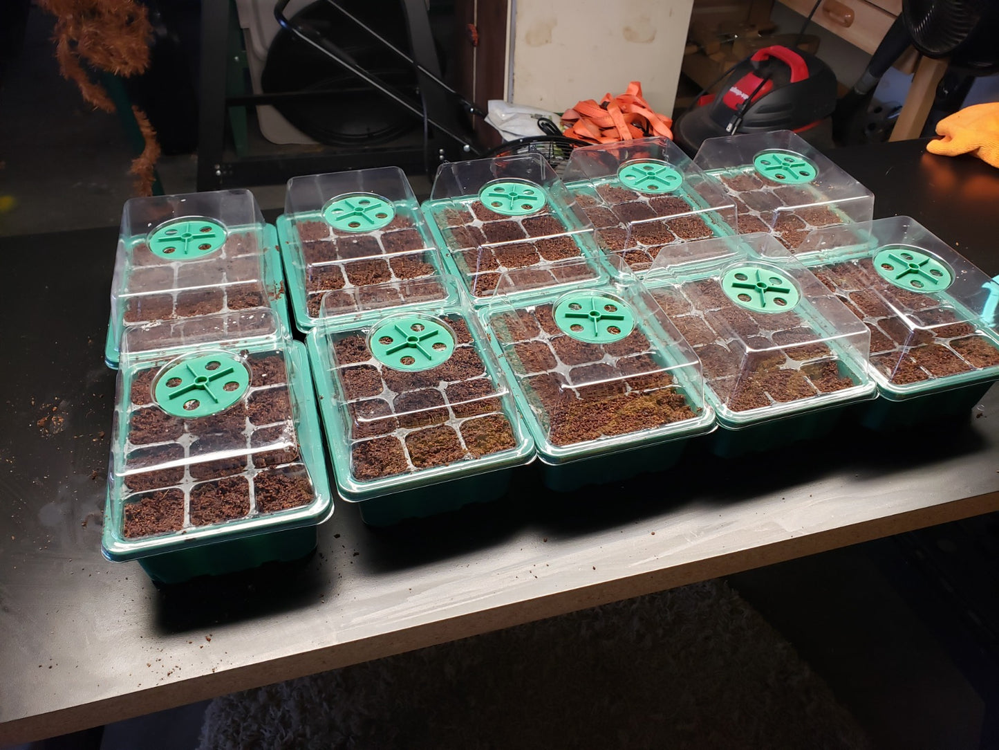 New 10PCS Seedling Tray | Plant Starter Kit w/ Dome & Base Greenhouse Grow Trays