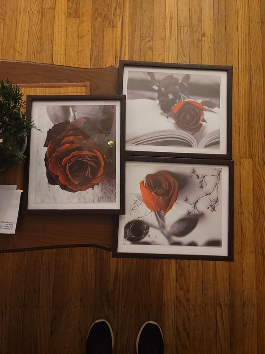 New 3PCS 8" x 10" Vintage Painting Black & White Red Rose Wall Art Paintings