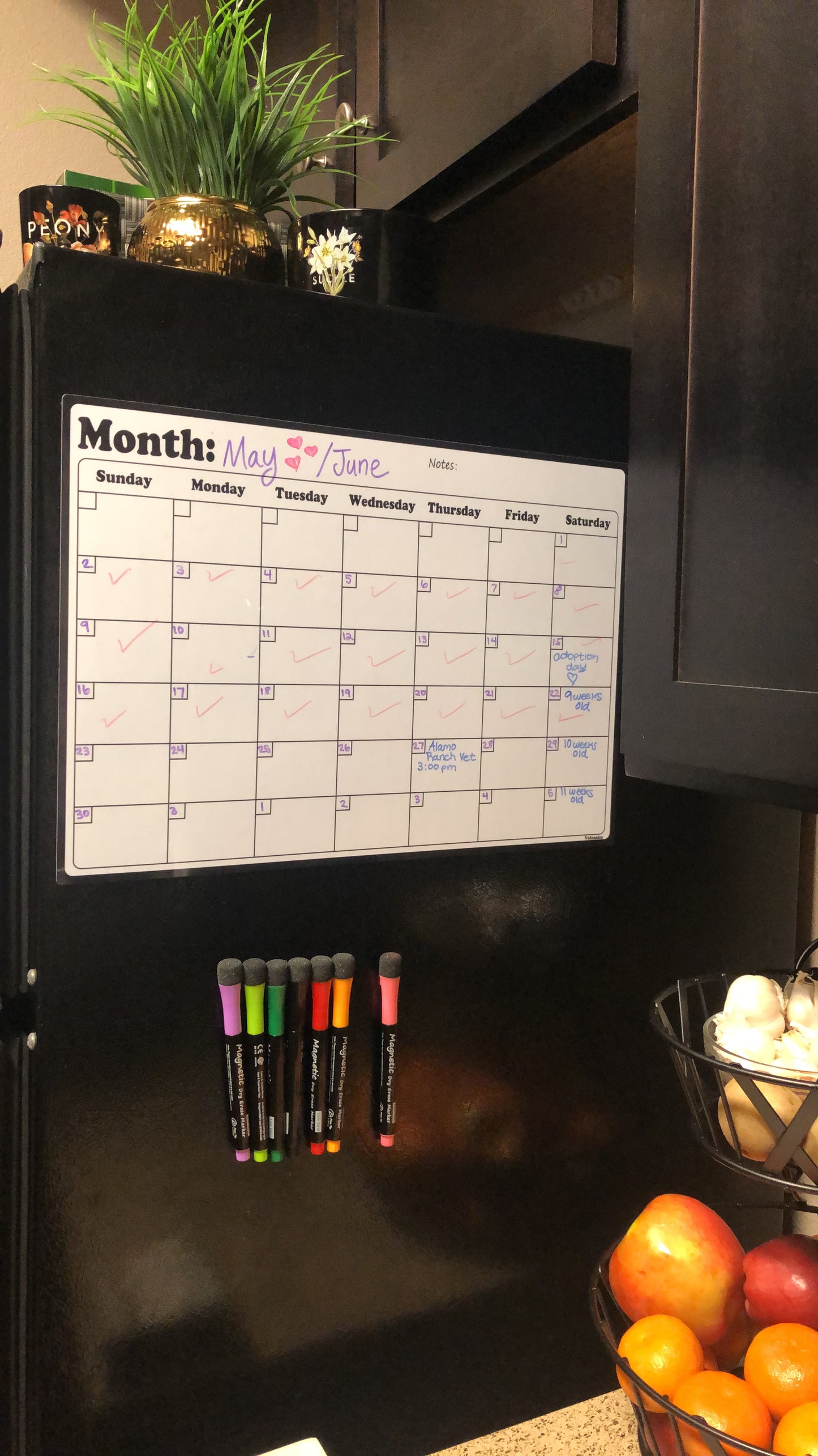 New Whiteboard Calendar For Refrigerator Planners | 16.9" x 11.8"